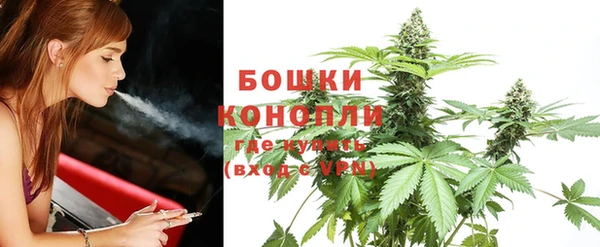 ALPHA PVP Кинешма