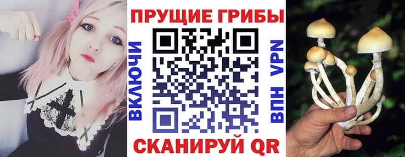 Галлюциногенные грибы мухоморы  Купить  Далматово 