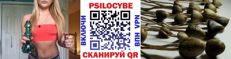 Псилоцибиновые грибы Psilocybe Далматово